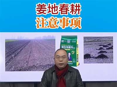 姜地春耕注意事项 ()