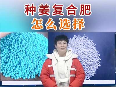 种姜复合肥怎么选择？ ()