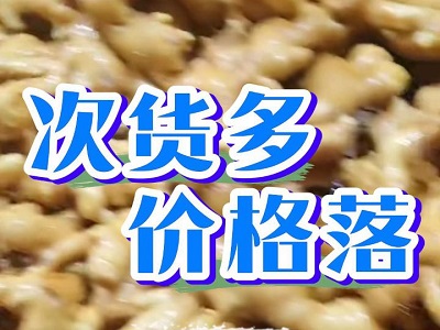 2月17日 生姜价格行情（次货多，价格落） ()