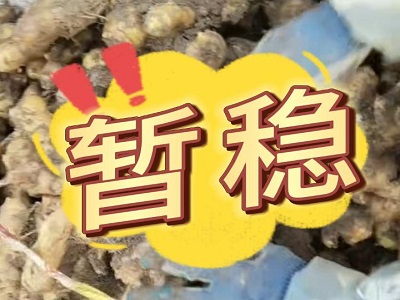 2月17日 安丘黑埠子（暂稳） ()