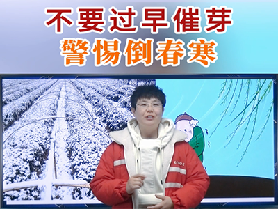 不要过早催芽 警惕倒春寒 ()