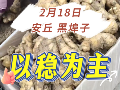 2月18日 安丘黑埠子（以稳为主） ()