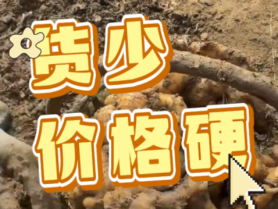 2月20日 安丘黑埠子（货少价格硬） ()