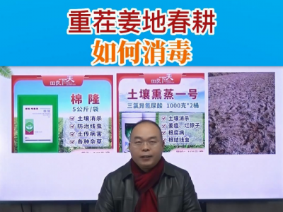 重茬姜地春耕如何消毒？ ()