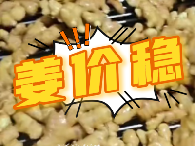 2月21日 生姜价格行情（姜价稳） ()