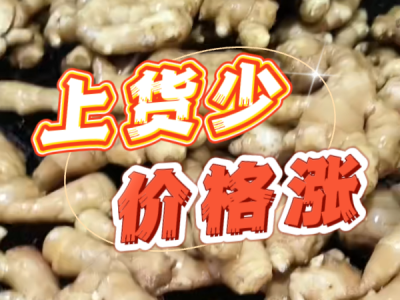 2月24日 生姜价格行情（上货少，价格涨） ()