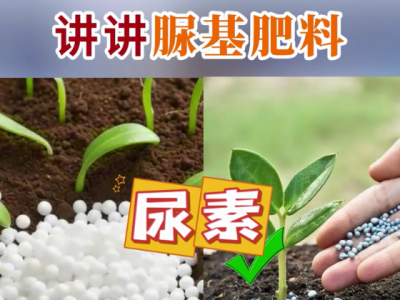讲讲脲基肥料 ()