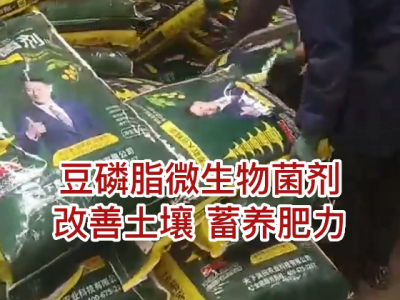 豆磷脂微生物菌剂 改善土壤 蓄养肥力 ()