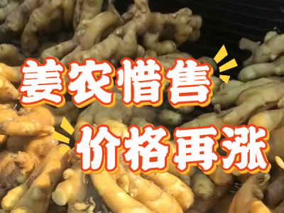 2月25日 生姜价格行情（姜农惜售，价格再涨） ()