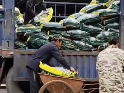 云南姜友13吨豆磷脂微生物菌剂送货到家 ()