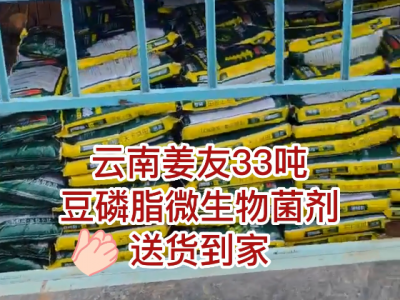 云南姜友33吨豆磷脂微生物菌剂送货到家 ()