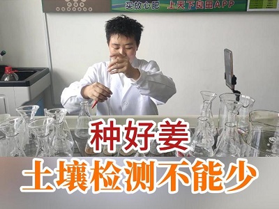 种好姜土壤检测不能少 ()