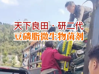 云南姜友25吨豆磷脂微生物菌剂配送到家 ()