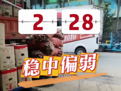 2月28日广州江南批发市场生姜价格行情 ()