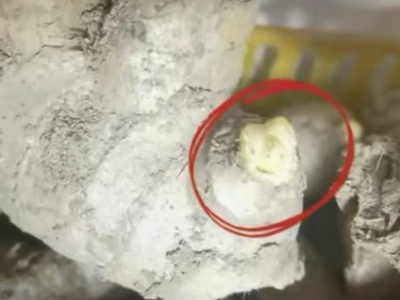 姜芽出现裂口咋回事？ ()