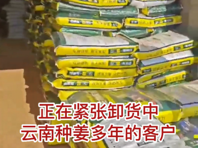 云南姜友春耕底肥紧张卸货中... ()