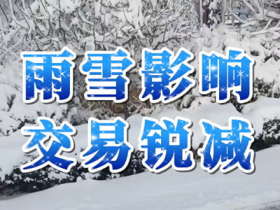 3月3日 生姜价格行情（雨雪影响，交易锐减） ()