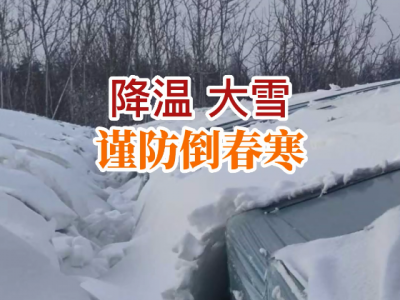 降温+大雪，谨防倒春寒！ ()