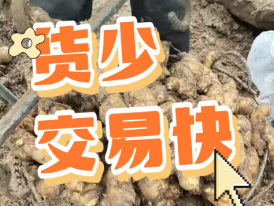 3月3日 安丘黑埠子（货少，交易快） ()