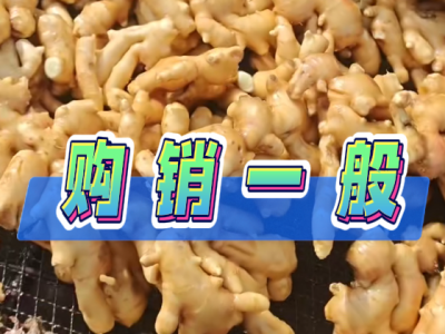 3月4日 生姜价格行情（购销一般） ()