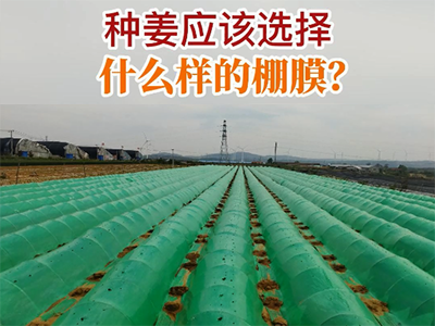 种姜应该选择什么样的棚膜？ ()