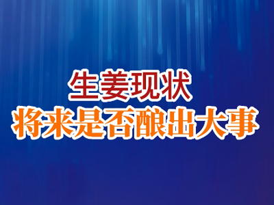 老石说姜：生姜现状 将来是否酿出大事？ ()