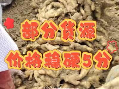 3月5日 安丘黑埠子（部分货源稳硬5分） ()