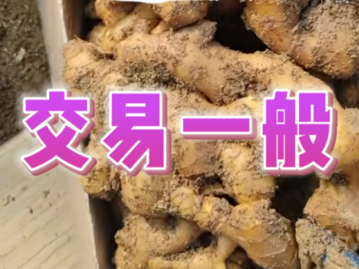 3月7日 安丘黑埠子（交易一般） ()