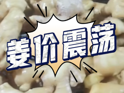3月8日 生姜价格行情（姜价震荡） ()