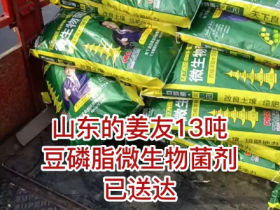 山东姜友13吨豆磷脂微生物菌剂送货到家 ()
