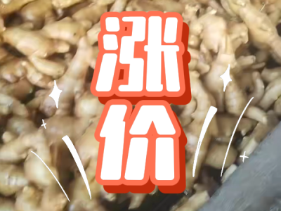 3月10日 生姜价格行情（涨价） ()