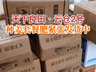 天下良田·云仓2号 种姜套餐肥紧张发货中... ()