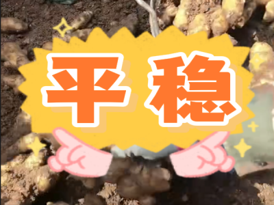 3月13日 安丘黑埠子（平稳） ()