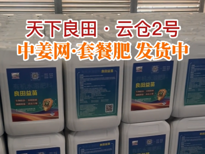 天下良田·云仓2号中姜网套餐肥发货中... ()