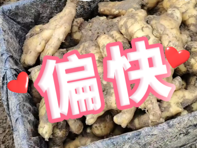 3月14日 安丘黑埠子（偏快） ()