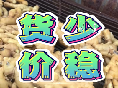 3月14日 生姜价格行情（货少价稳） ()