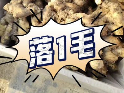 3月17日 安丘黑埠子（落1毛） ()