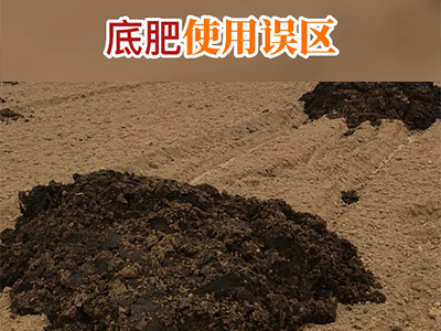 底肥使用误区 ()