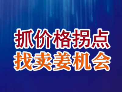 老石说姜：抓价格拐点 找卖姜机会 ()