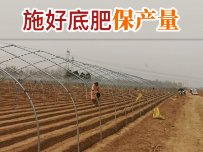 施好底肥保产量 ()