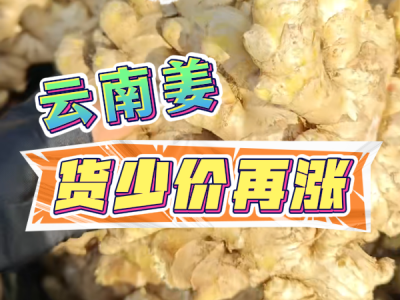 3月19日 生姜价格行情（云南姜货少价再涨） ()