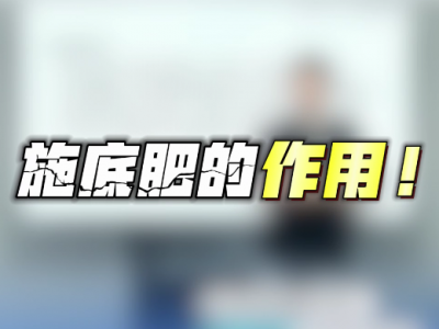 施底肥的作用 ()