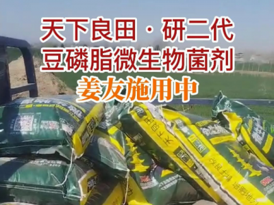 天下良田·研二代·豆磷脂微生物菌剂施用中... ()