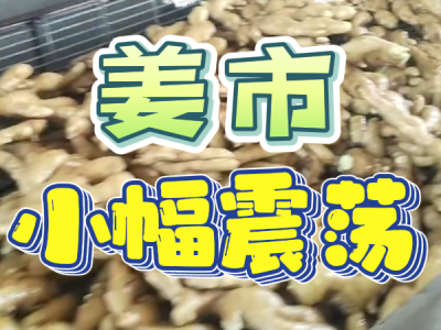 3月21日 生姜价格行情（姜市小幅震荡） ()