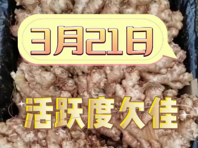 3月21日广州江南批发市场价格行情 ()