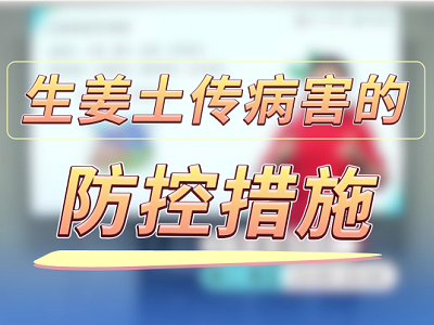 生姜土传病害的防控措施 ()