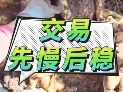 3月22日 安丘黑埠子（交易先慢后稳） ()