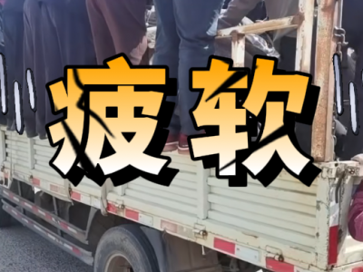 3月24日 安丘黑埠子（疲软） ()