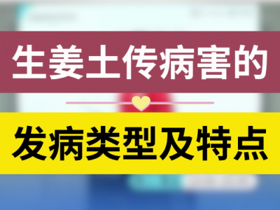 生姜土传病害的发病类型及特点 ()