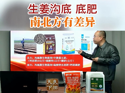 生姜沟底底肥 南北方有差异 ()